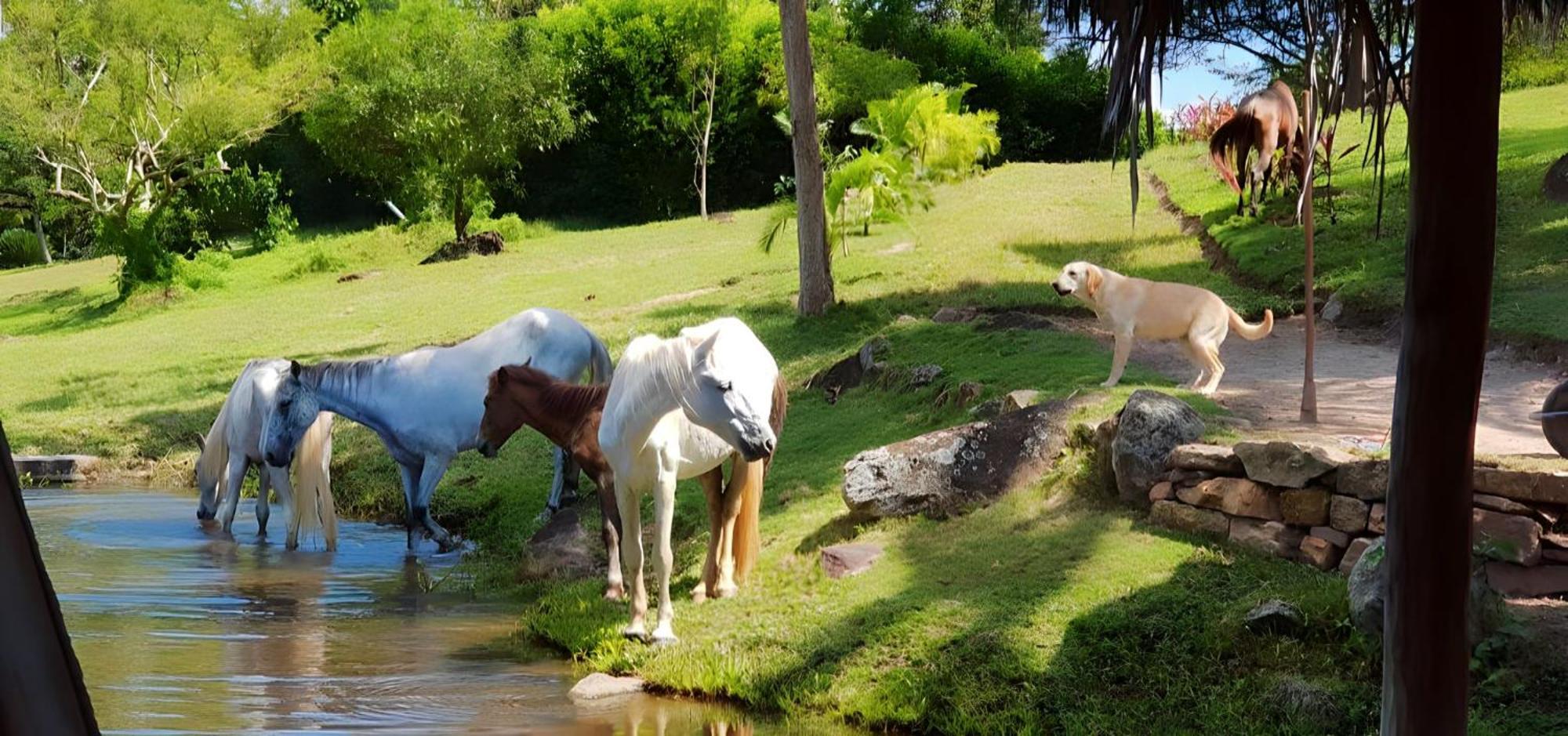 Lagoon Village B&B Y Spa Tarapoto Bagian luar foto